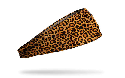 FELINE FLASH HEADBAND